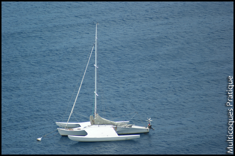 Plan Newick dans les Antilles