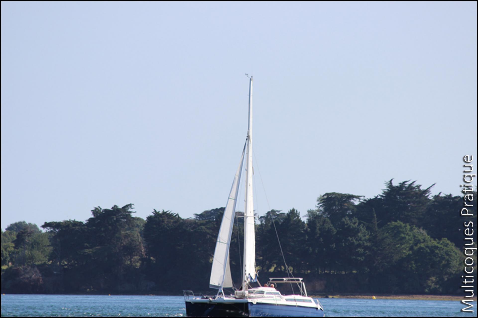 Edel cat 35 au fardage modéré