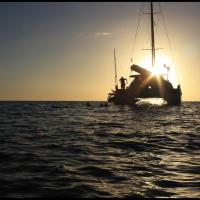 Lavezzi 40 au mouillage